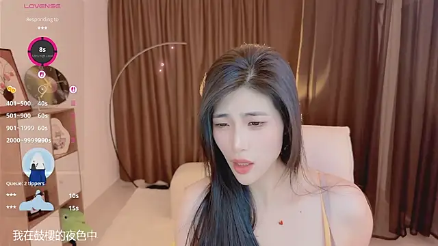 Vaidurya-Yolo webcam