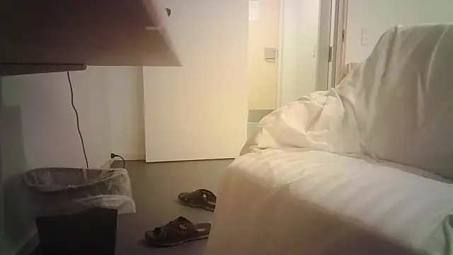 snebold webcam