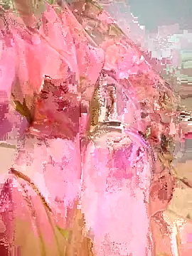 Vidhya_Balan143 webcam