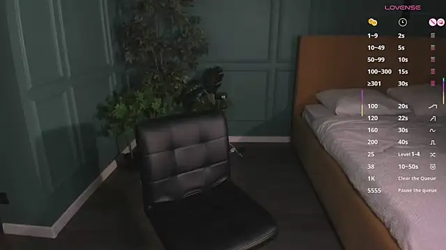 hidden_charm_ webcam