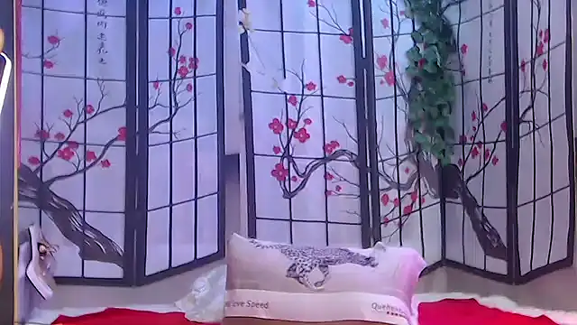 NightOrhideya webcam