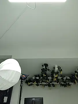 -OvO- webcam
