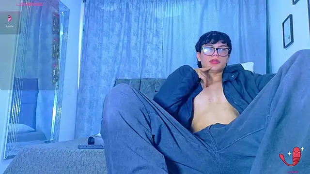 Dantekent webcam