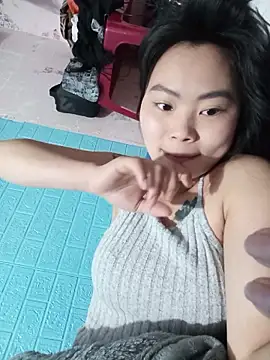 Lynk2x webcam