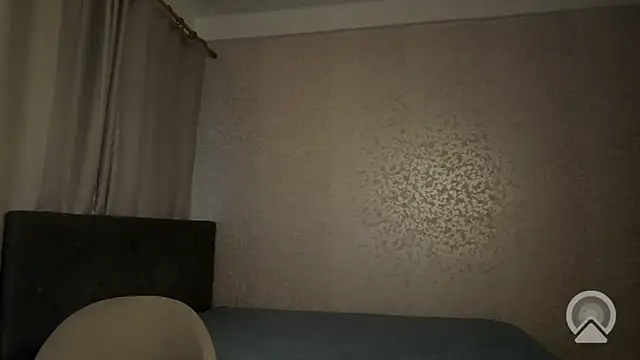dalvos webcam