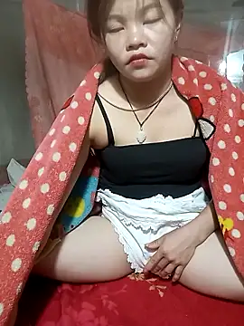 Lan_9x webcam