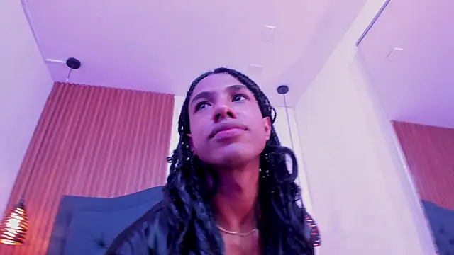 Johan_gz_ webcam