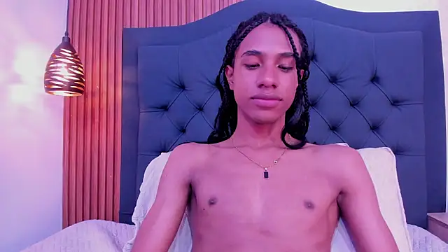 Johan_gz_ webcam