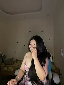 __MeiMei__ webcam