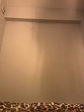 DarkDesin webcam