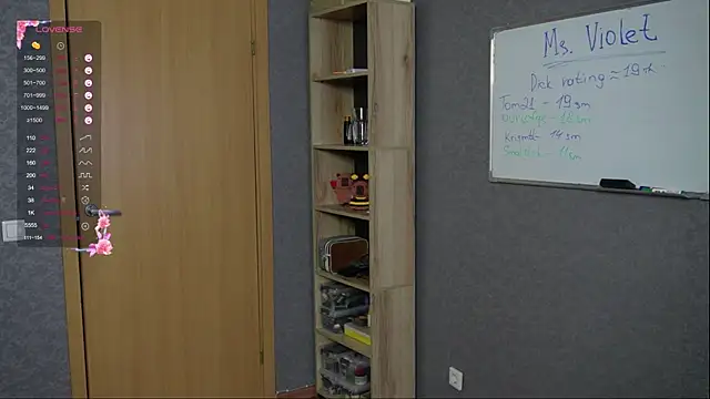 Violetwin webcam