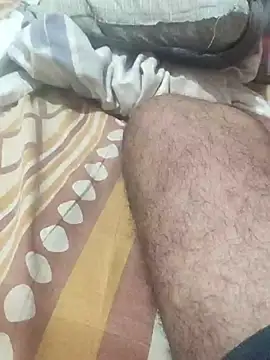 subh527 webcam