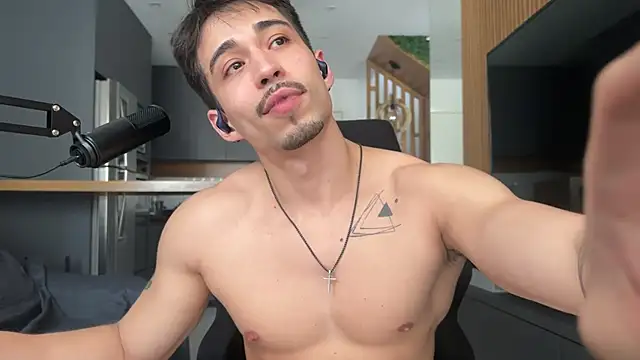 mettew22cm webcam