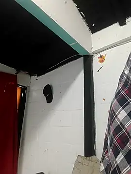 sk8-sir webcam