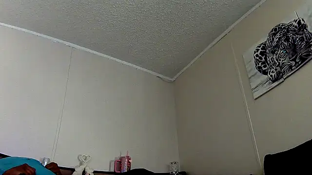 TheDmonuDesire webcam