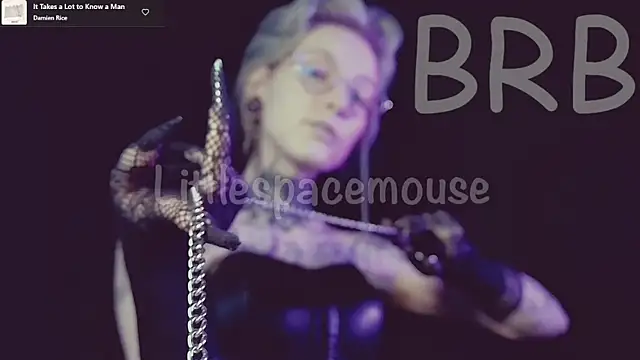 Littlespacemouse webcam
