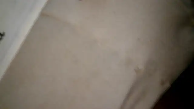 MISTERANDDEMI webcam