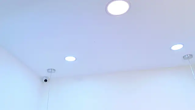 JonesDiaz webcam