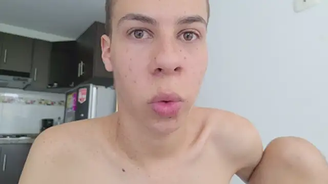 grey___27 webcam
