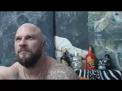viking_30 webcam