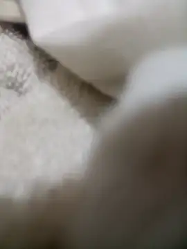 damisexhot webcam