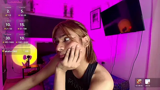 imgerver webcam