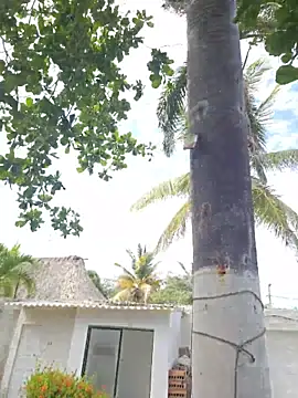 Esperanza_fucker webcam