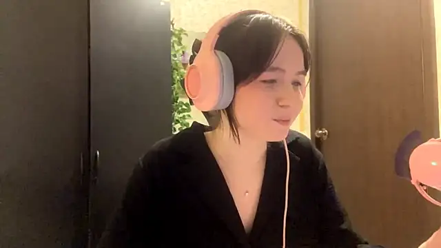 CrappyCatcher webcam