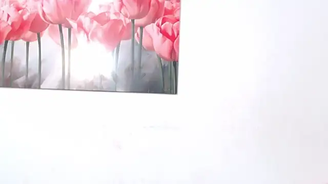 pinky_f00x webcam