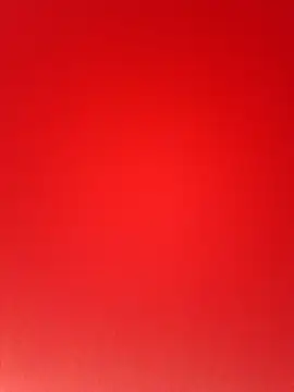 bela14 webcam