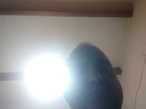 Pollagorda_34877 webcam