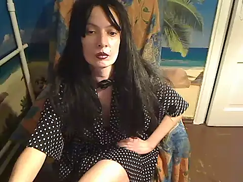 Bastet12 webcam