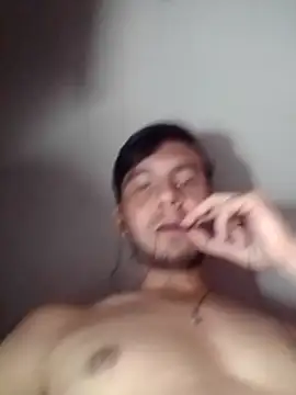 Daniredins webcam