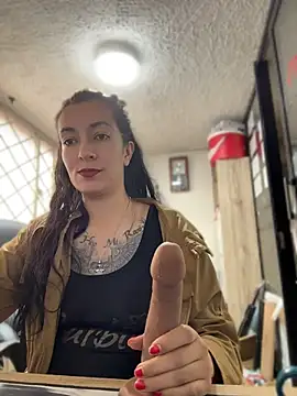SALOME_KORLAND webcam