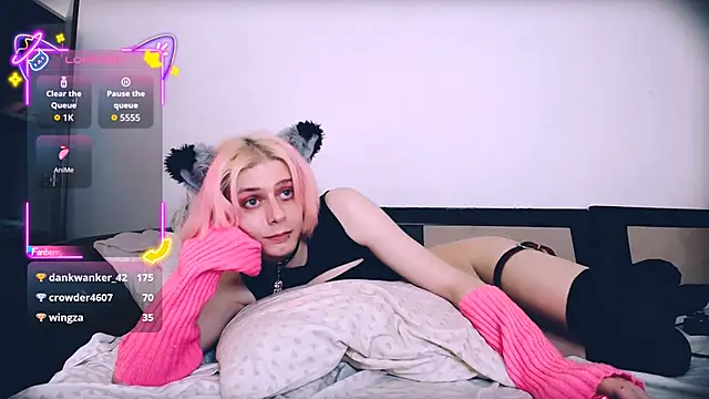 Littlepinkcat webcam