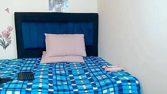 BRYXS1 webcam