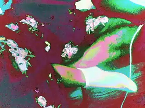 Sexyyamazon webcam