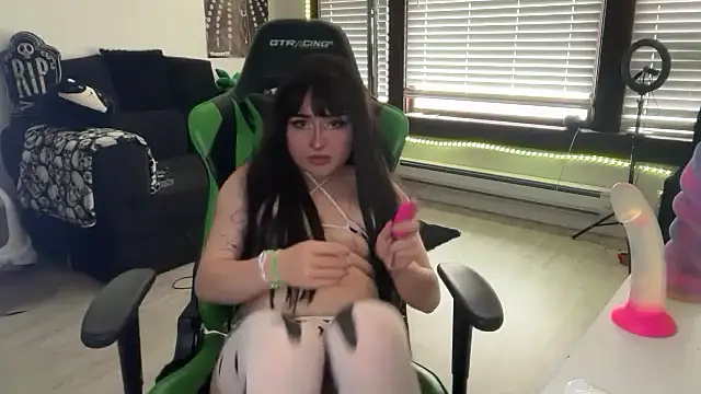 vrtual_kitty webcam