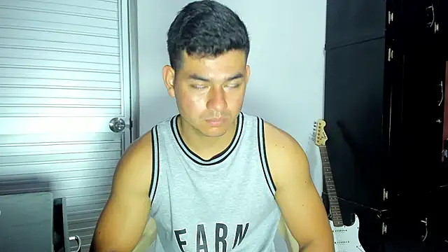 VincentSavage webcam