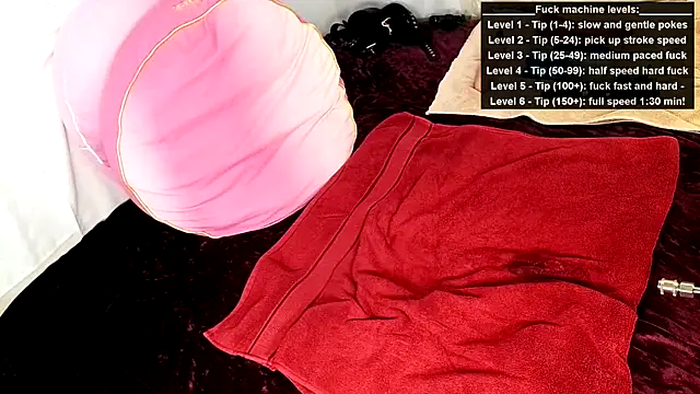 GamerGirlRoxyAndLee