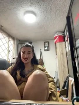 SALOME_KORLAND webcam
