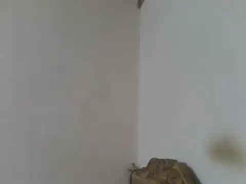 elpoop7305 webcam