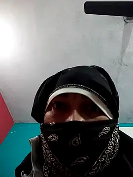 Universal221 webcam