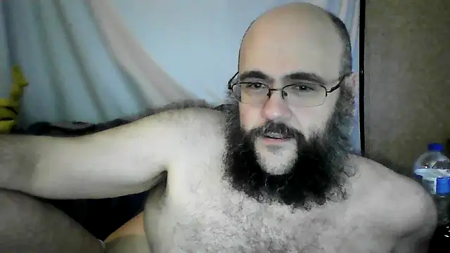 BriTheTopBear webcam