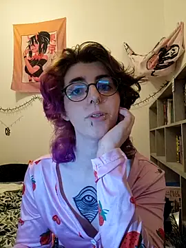jaadetrans webcam