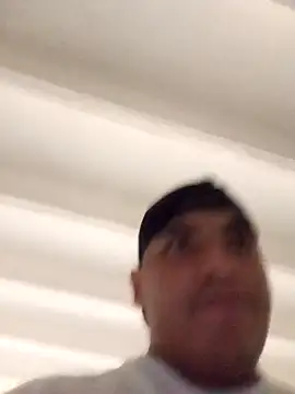 Preview of gelidpalmetto