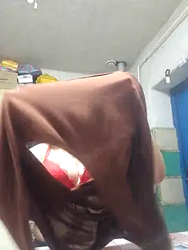 Jyleta webcam