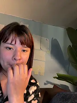 Canneela webcam