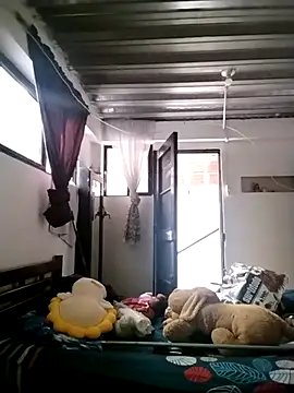 vegonicarouge webcam