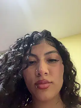 brizzmotion webcam